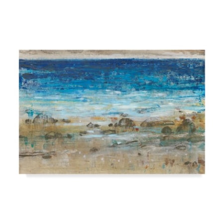 Tim Otoole 'Rocky Shoreline I' Canvas Art,12x19